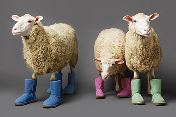 botas ugg piel de oveja botas ugg piel de oveja